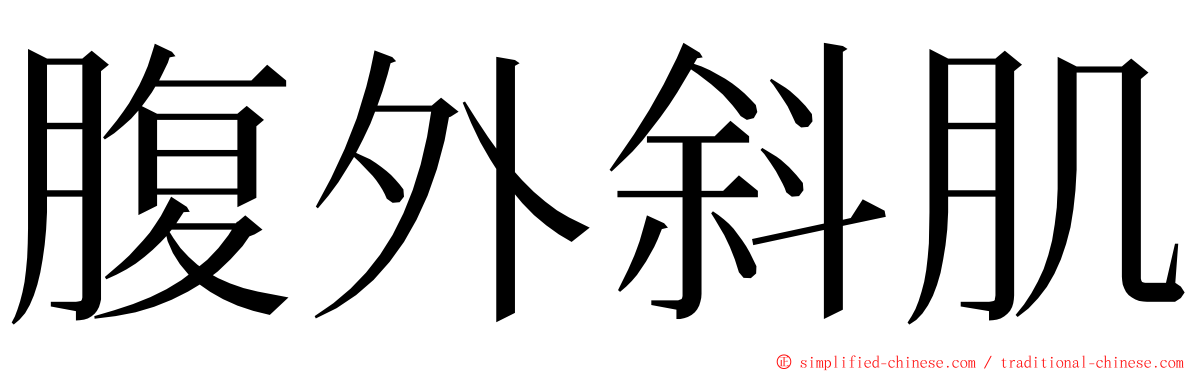 腹外斜肌 ming font