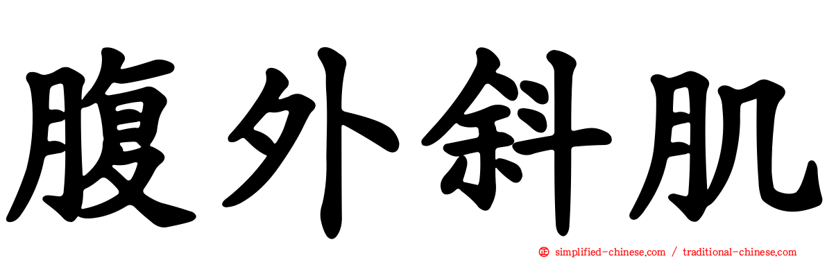 腹外斜肌