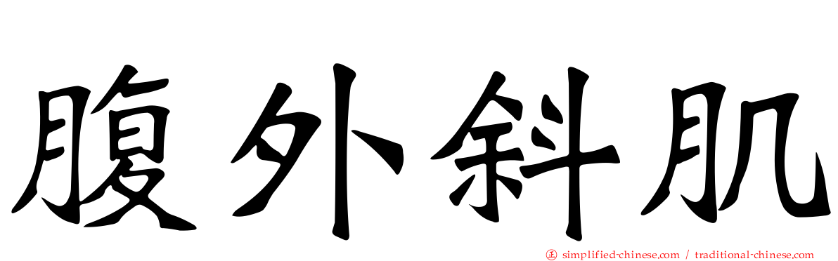 腹外斜肌