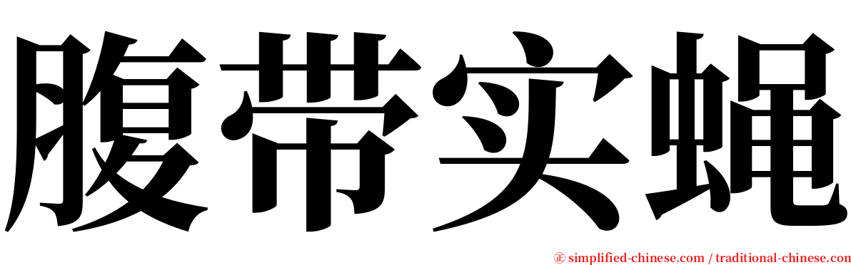 腹带实蝇 serif font