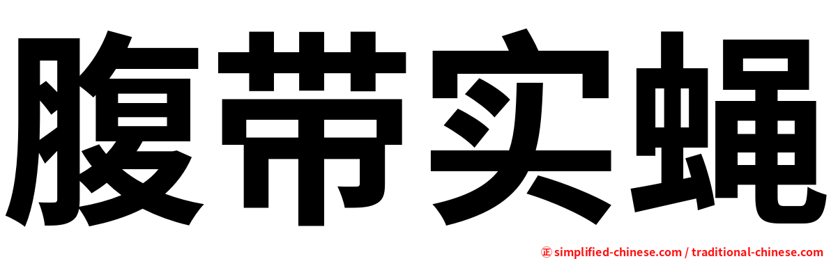 腹带实蝇