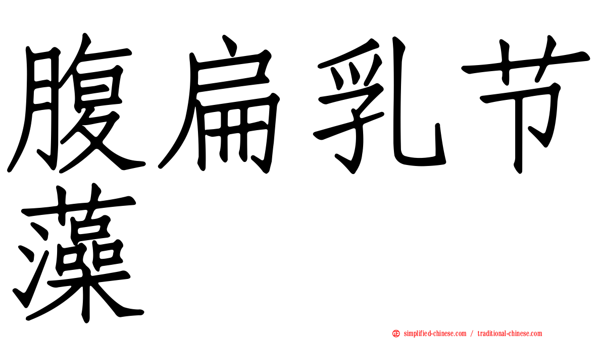 腹扁乳节藻