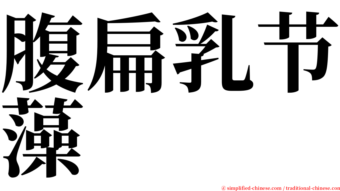 腹扁乳节藻 serif font