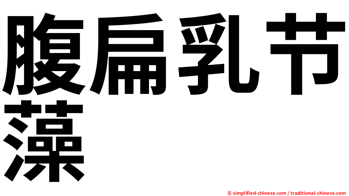 腹扁乳节藻