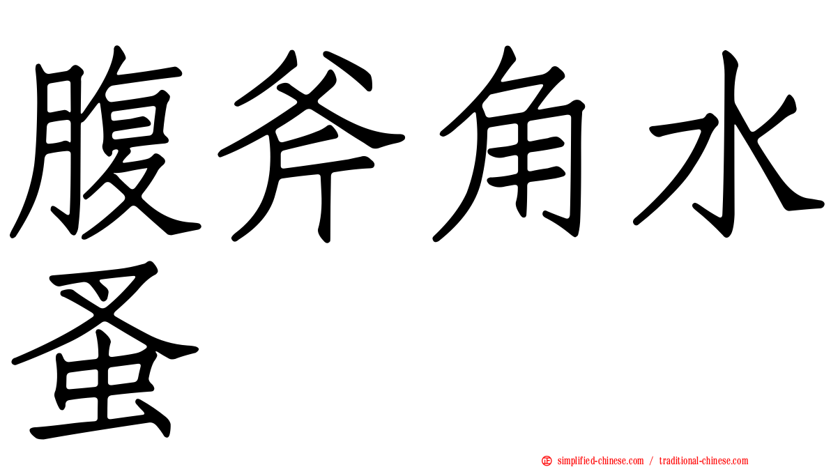 腹斧角水蚤