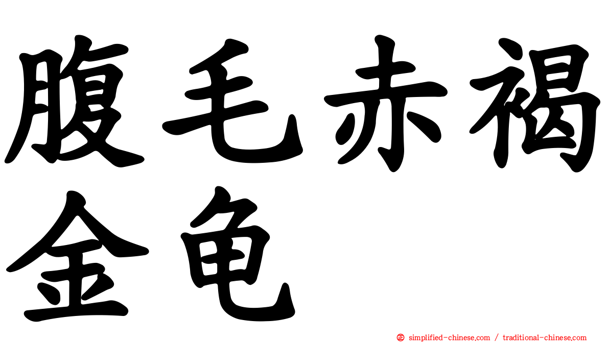 腹毛赤褐金龟