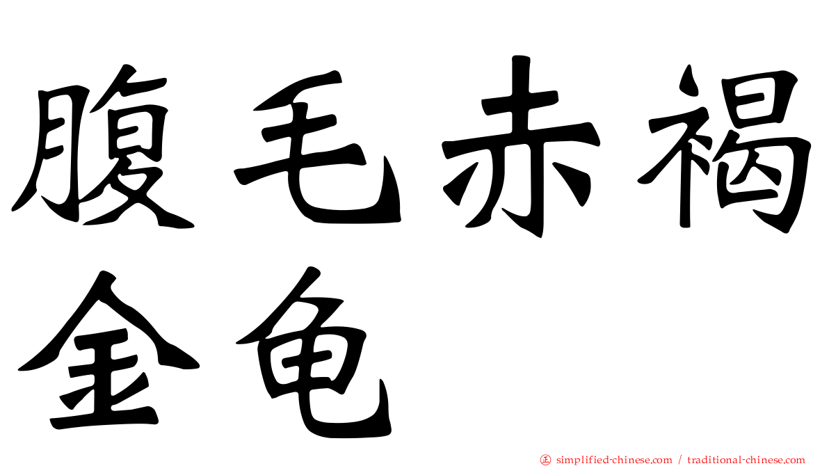 腹毛赤褐金龟