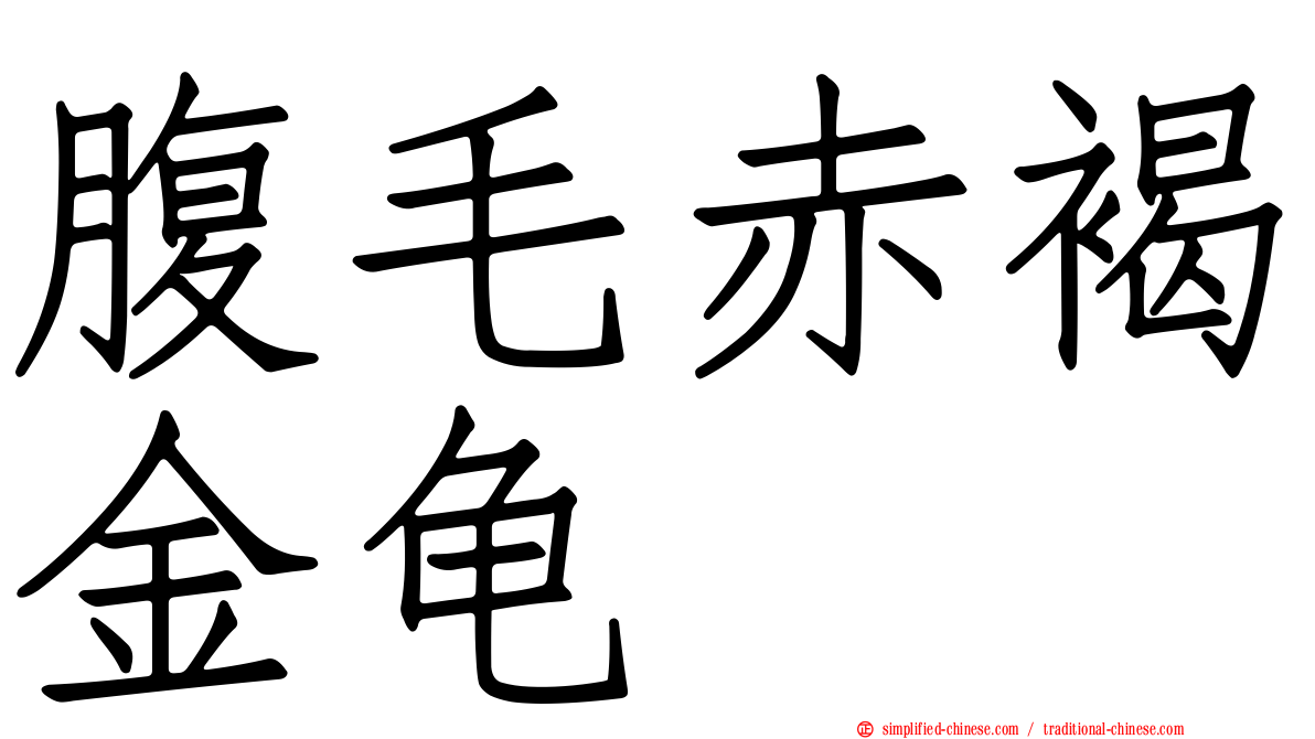 腹毛赤褐金龟