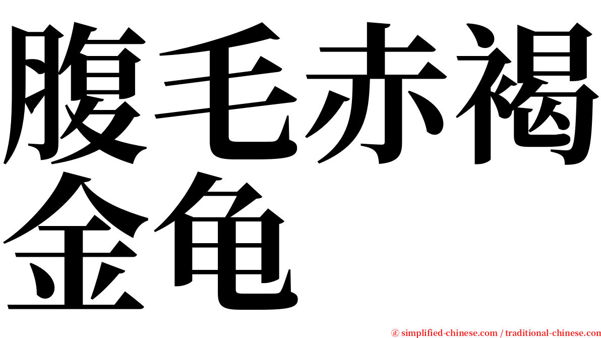 腹毛赤褐金龟 serif font
