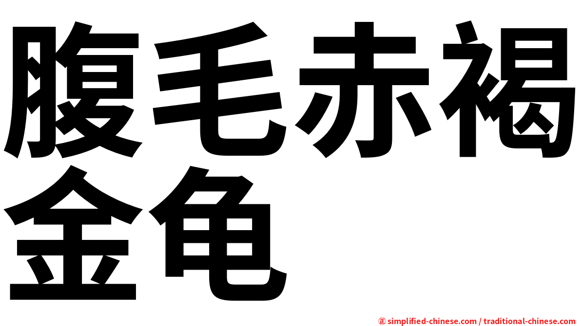 腹毛赤褐金龟