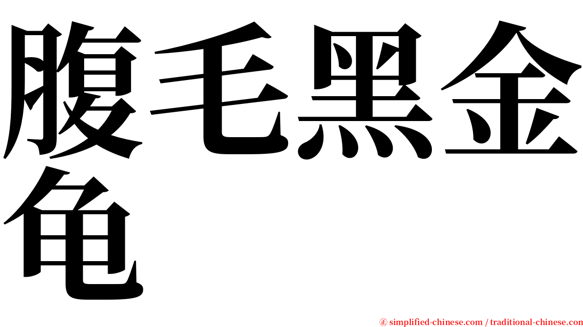 腹毛黑金龟 serif font