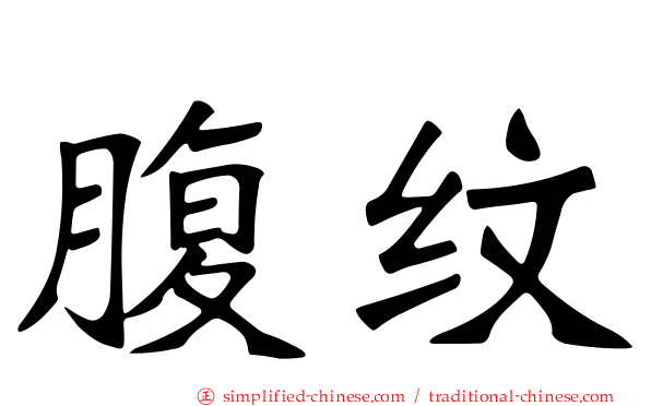 腹纹