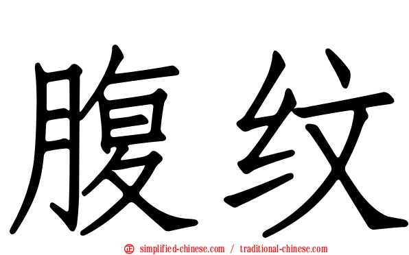 腹纹