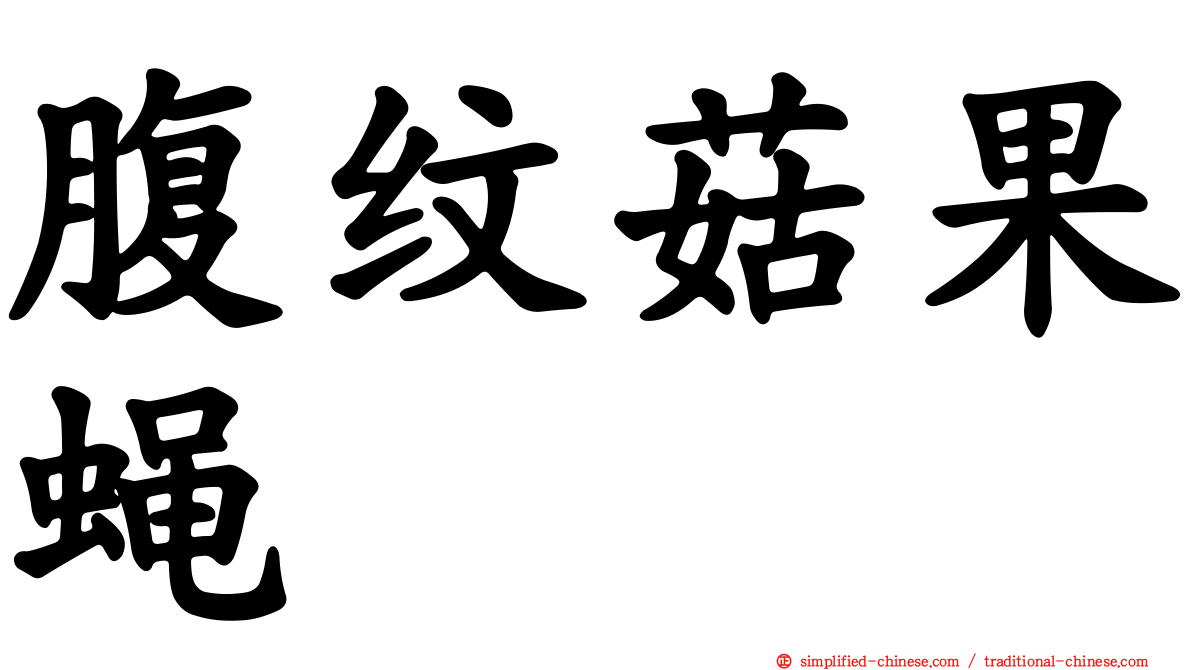 腹纹菇果蝇