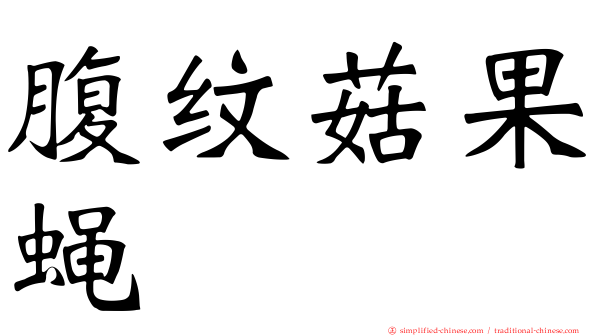 腹纹菇果蝇