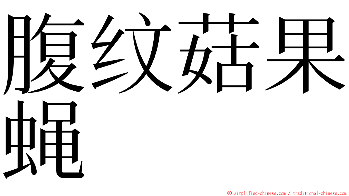 腹纹菇果蝇 ming font