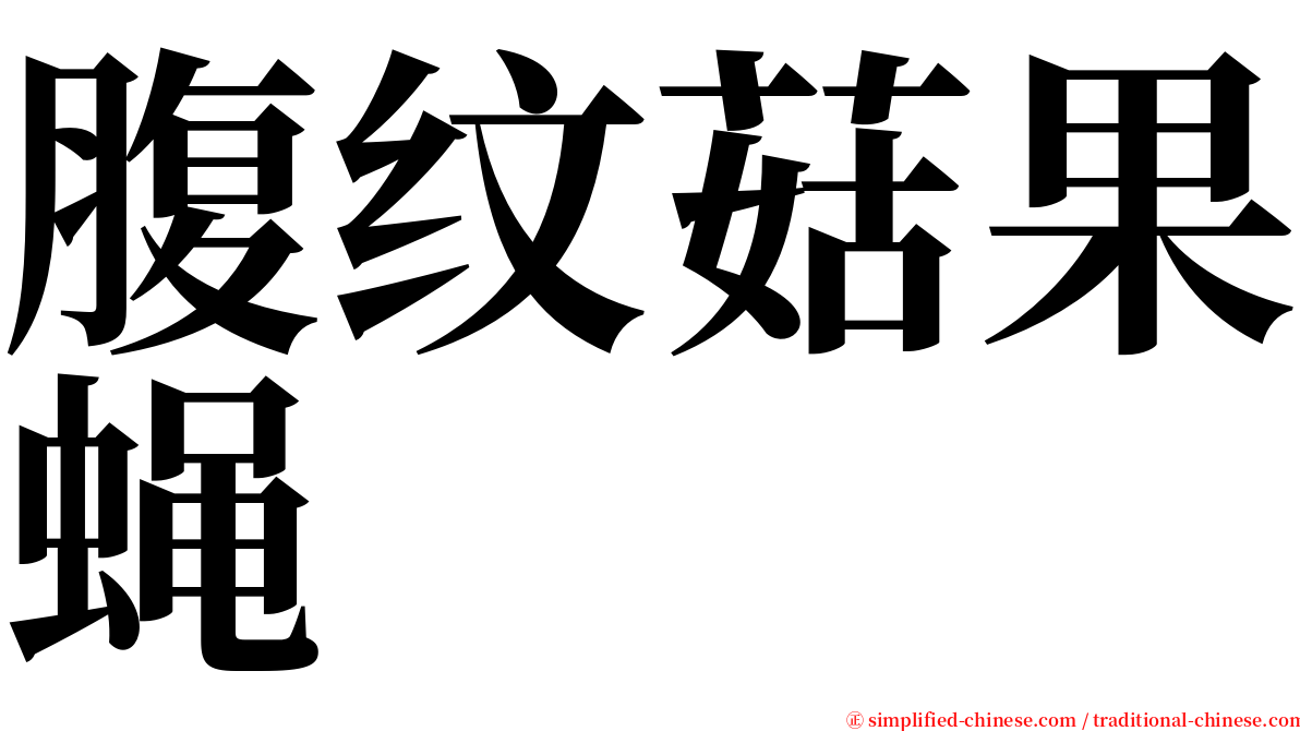 腹纹菇果蝇 serif font