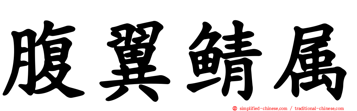 腹翼鲭属
