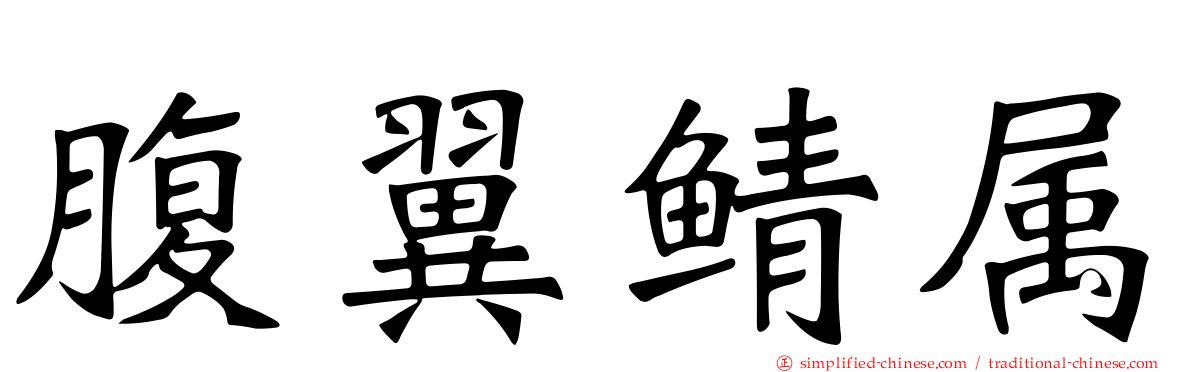 腹翼鲭属