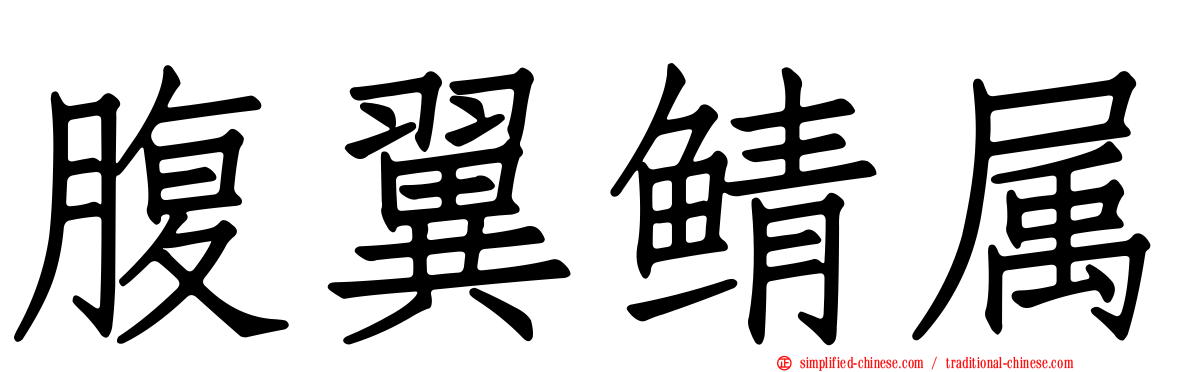 腹翼鲭属