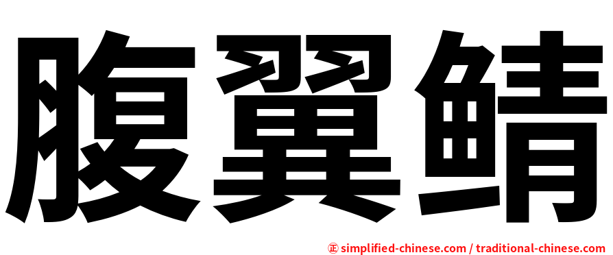 腹翼鲭