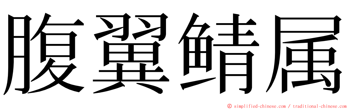 腹翼鲭属 ming font