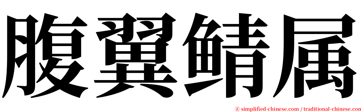 腹翼鲭属 serif font