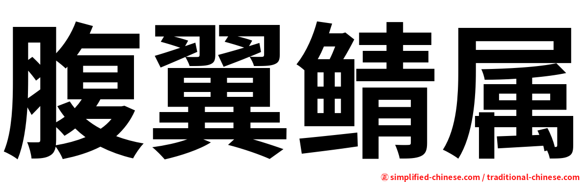 腹翼鲭属