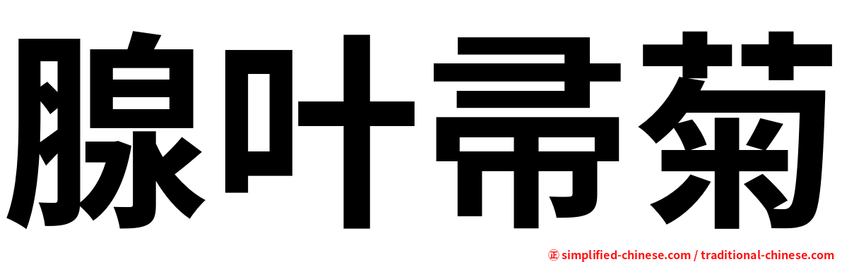 腺叶帚菊