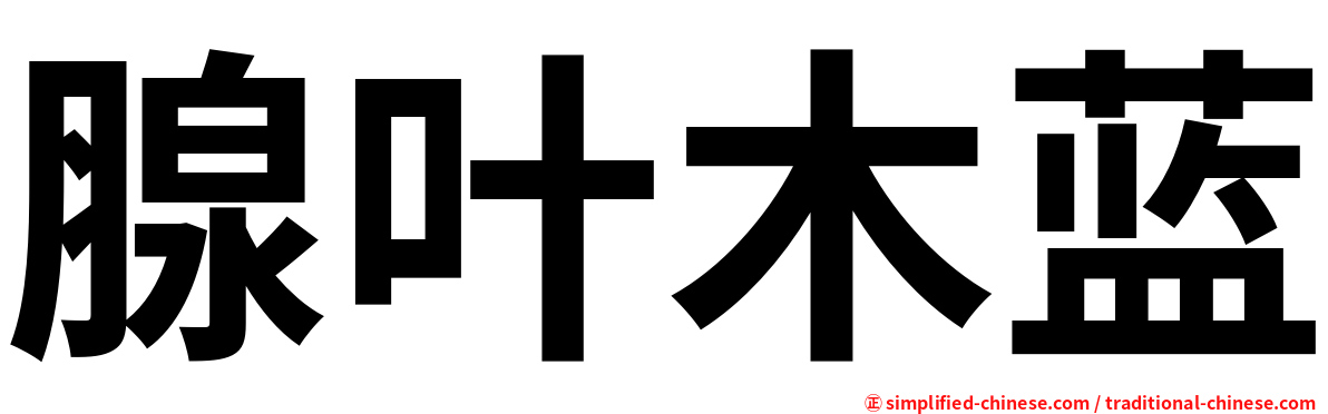 腺叶木蓝