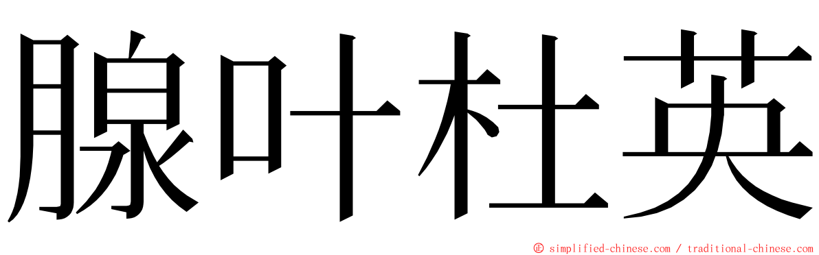 腺叶杜英 ming font