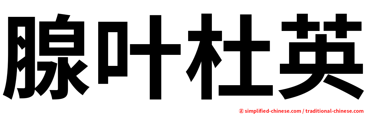 腺叶杜英