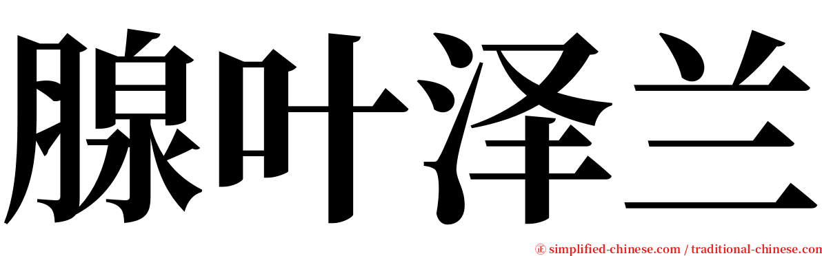 腺叶泽兰 serif font