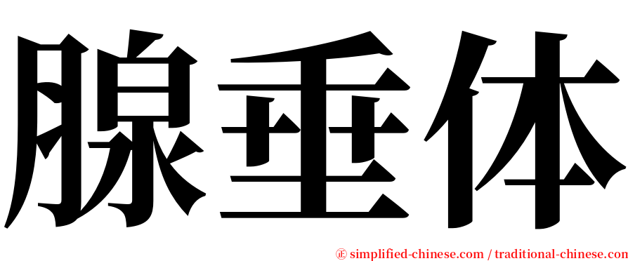 腺垂体 serif font