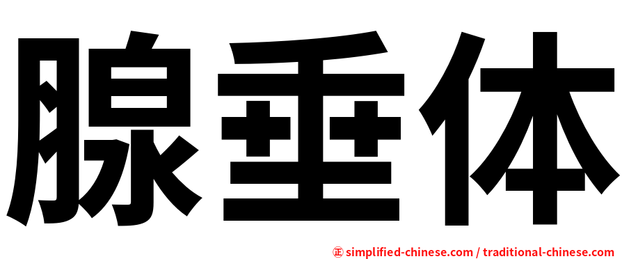 腺垂体