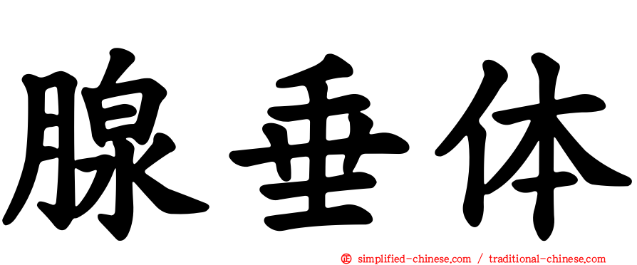 腺垂体
