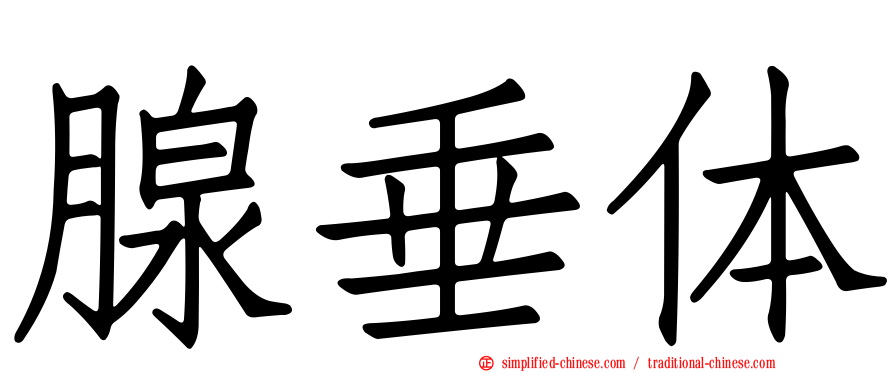 腺垂体