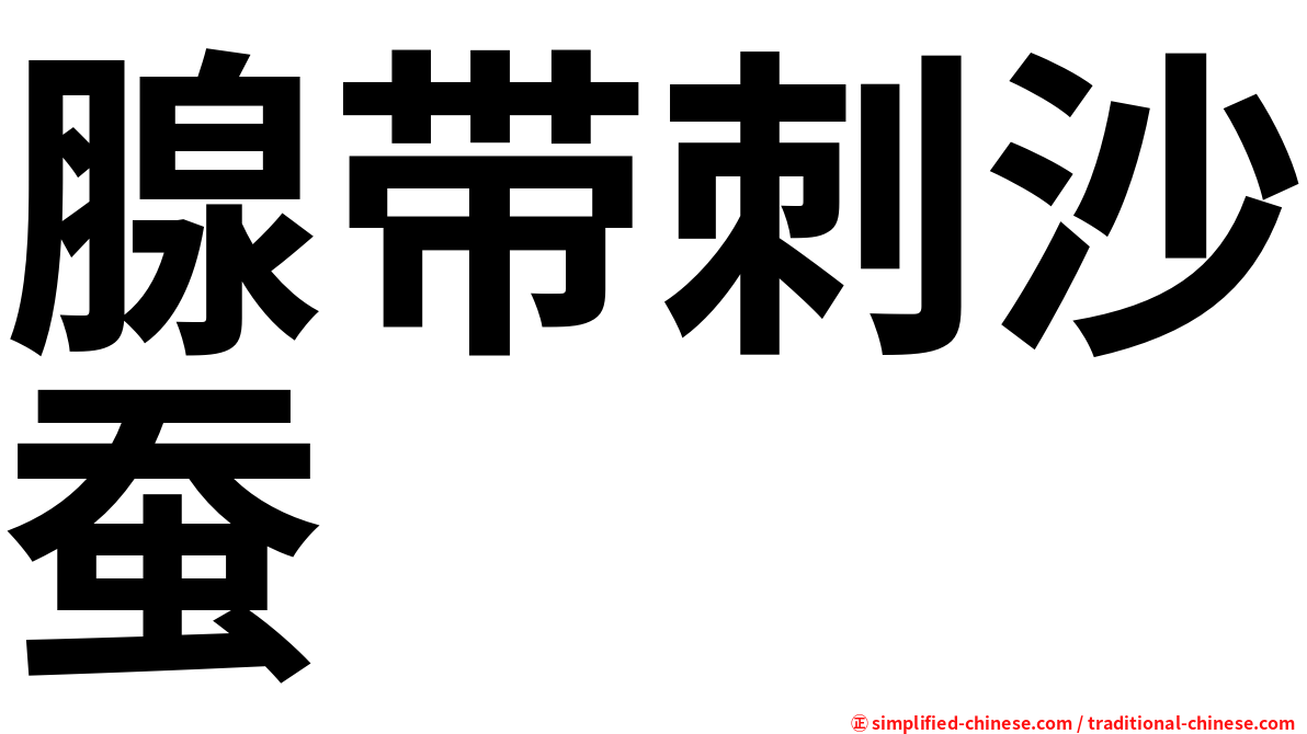 腺带刺沙蚕