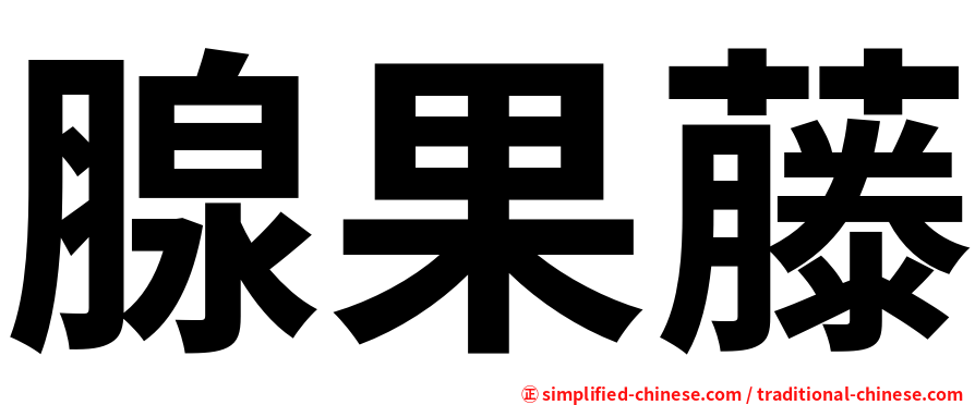 腺果藤