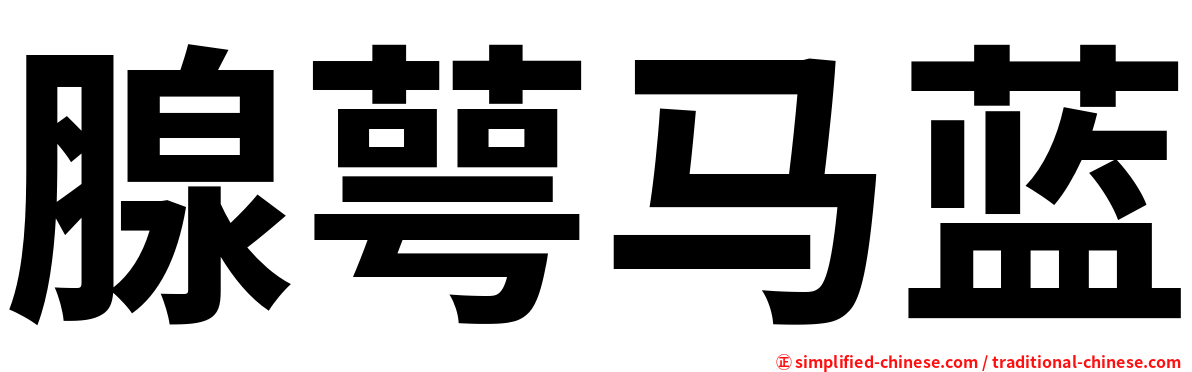 腺萼马蓝