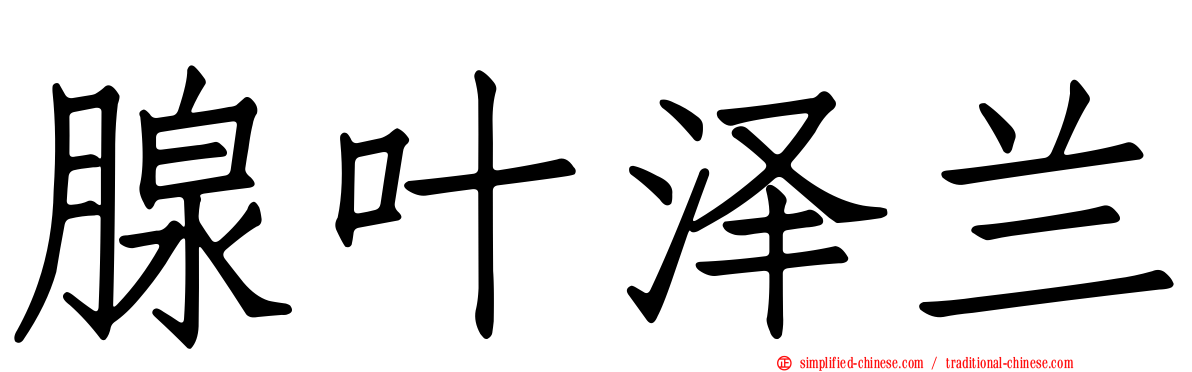 腺叶泽兰