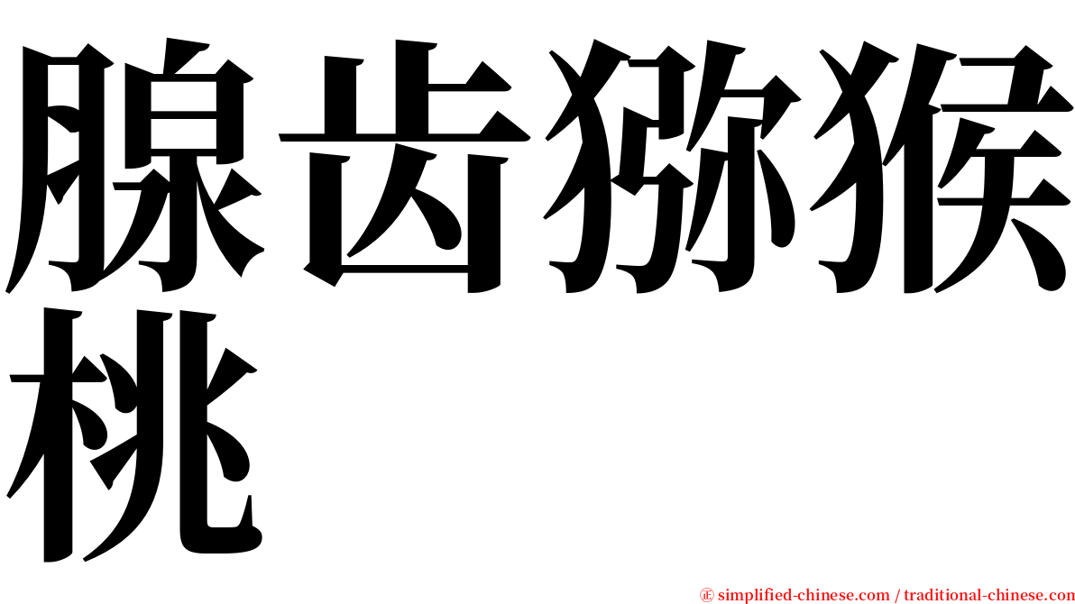 腺齿猕猴桃 serif font