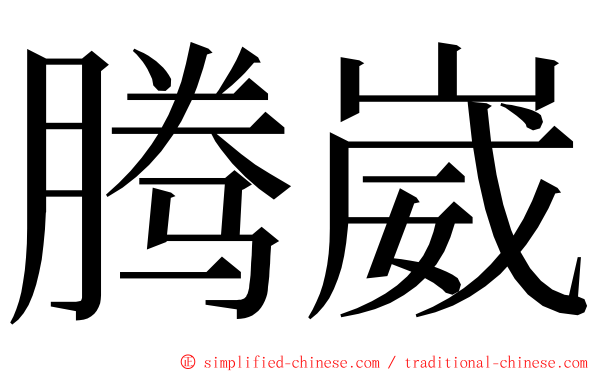 腾崴 ming font