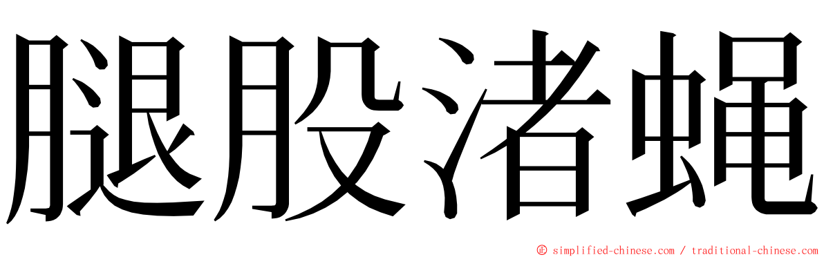 腿股渚蝇 ming font