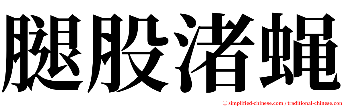 腿股渚蝇 serif font
