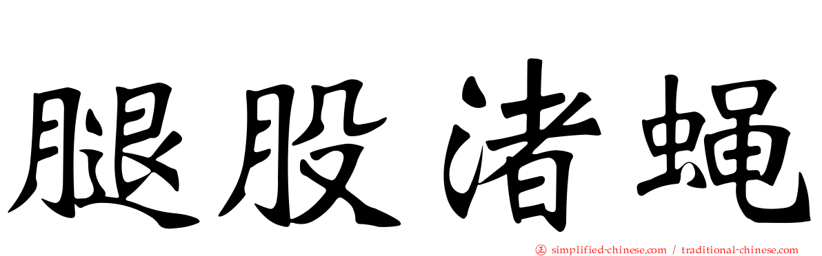 腿股渚蝇