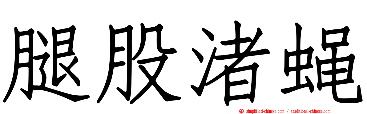 腿股渚蝇