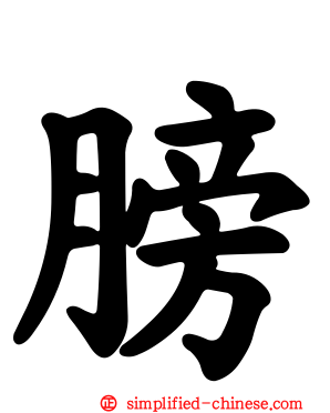膀