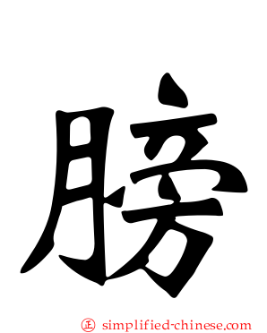 膀