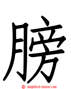 膀